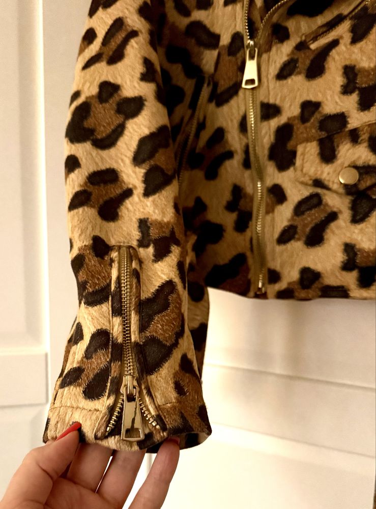 ramoneska panterka, leopard