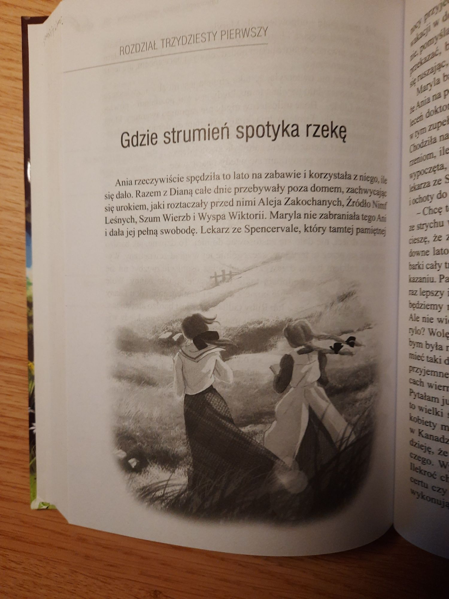 Ania z Zielonego Wzgórza Lucy Maud Montgomery Greg