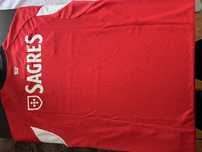 Nova Tshirt do benfica