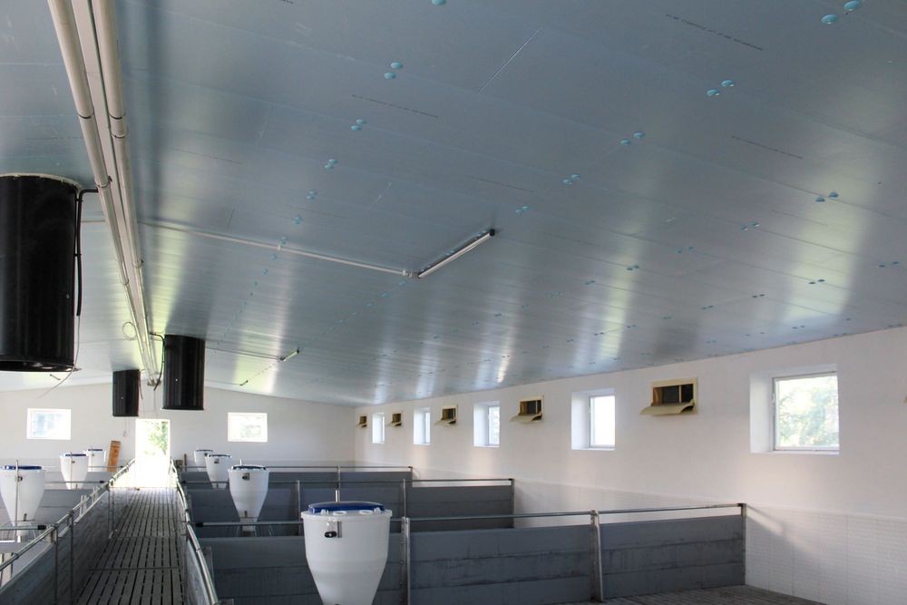 Sufit Strop Ściany do Obory Chlewni Kurnika Tuczarni Styrodur XPS AGRO