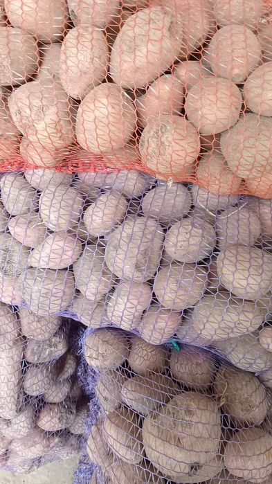 Продаю моркву,буряк,картоплю,ячмінь