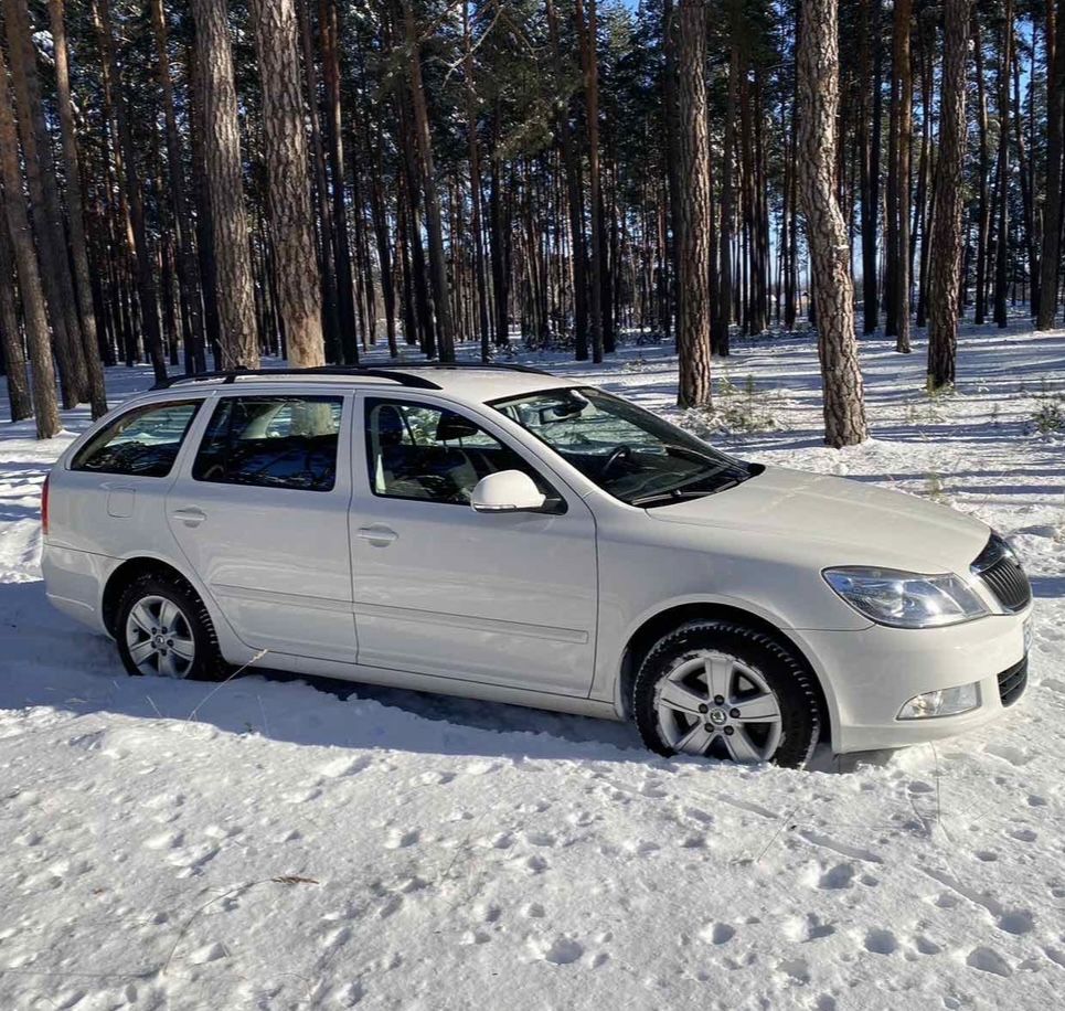 Skoda octavia A5 шкода октавія