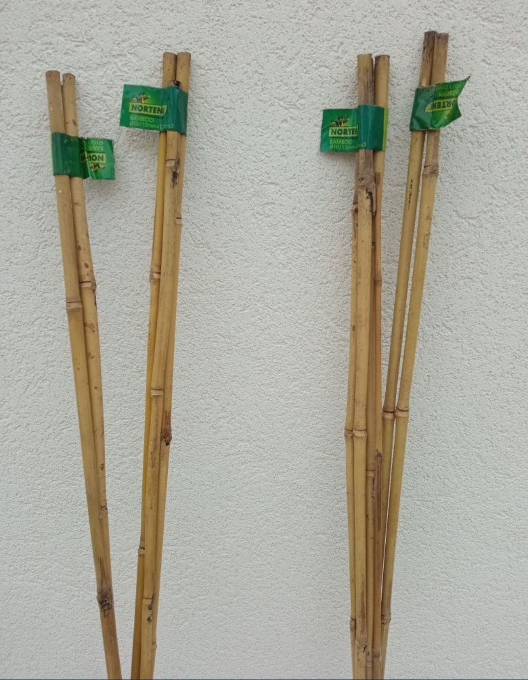 Tutores com tamanhos diferentes - plantas porte médio/robustas