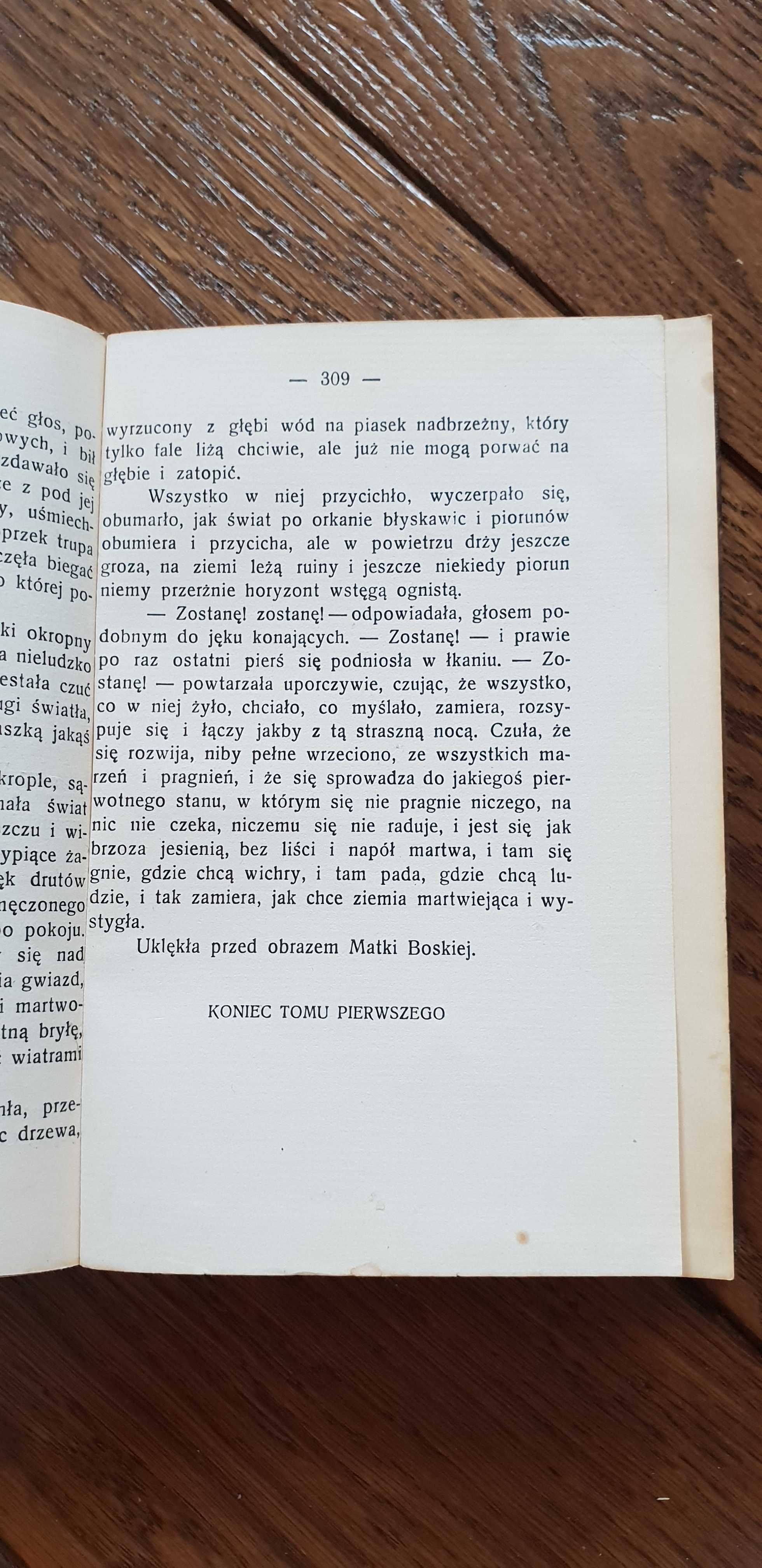 Książka rok 1928 "Fermenty" Władysław St. Reymont