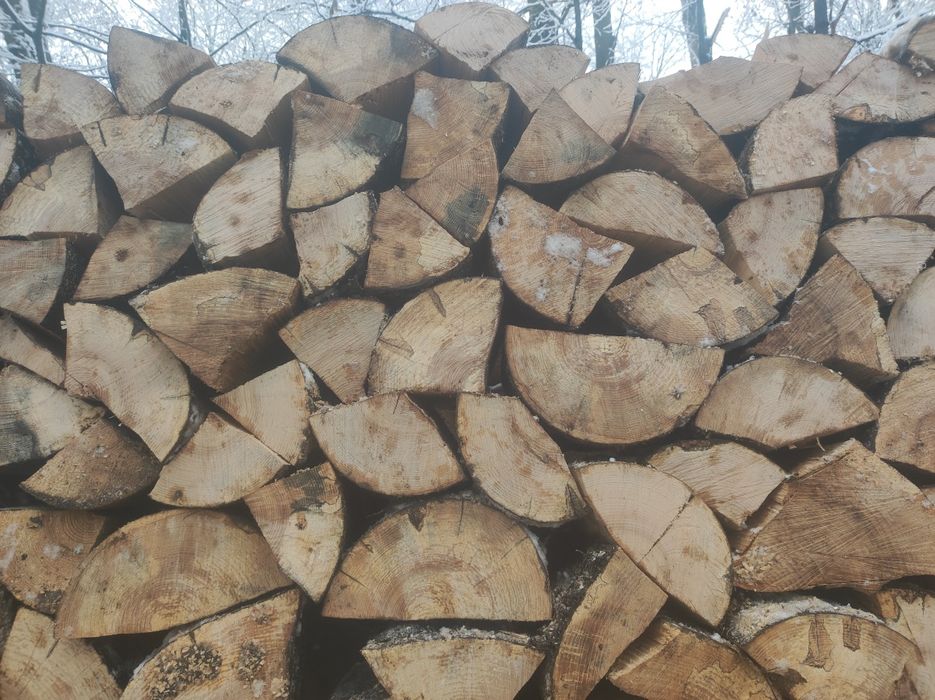 Дрова твердих порід  оптом та в роздріб