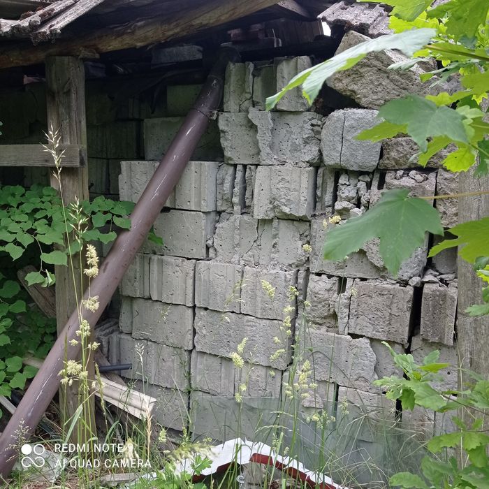 Pustaki duże i połówki