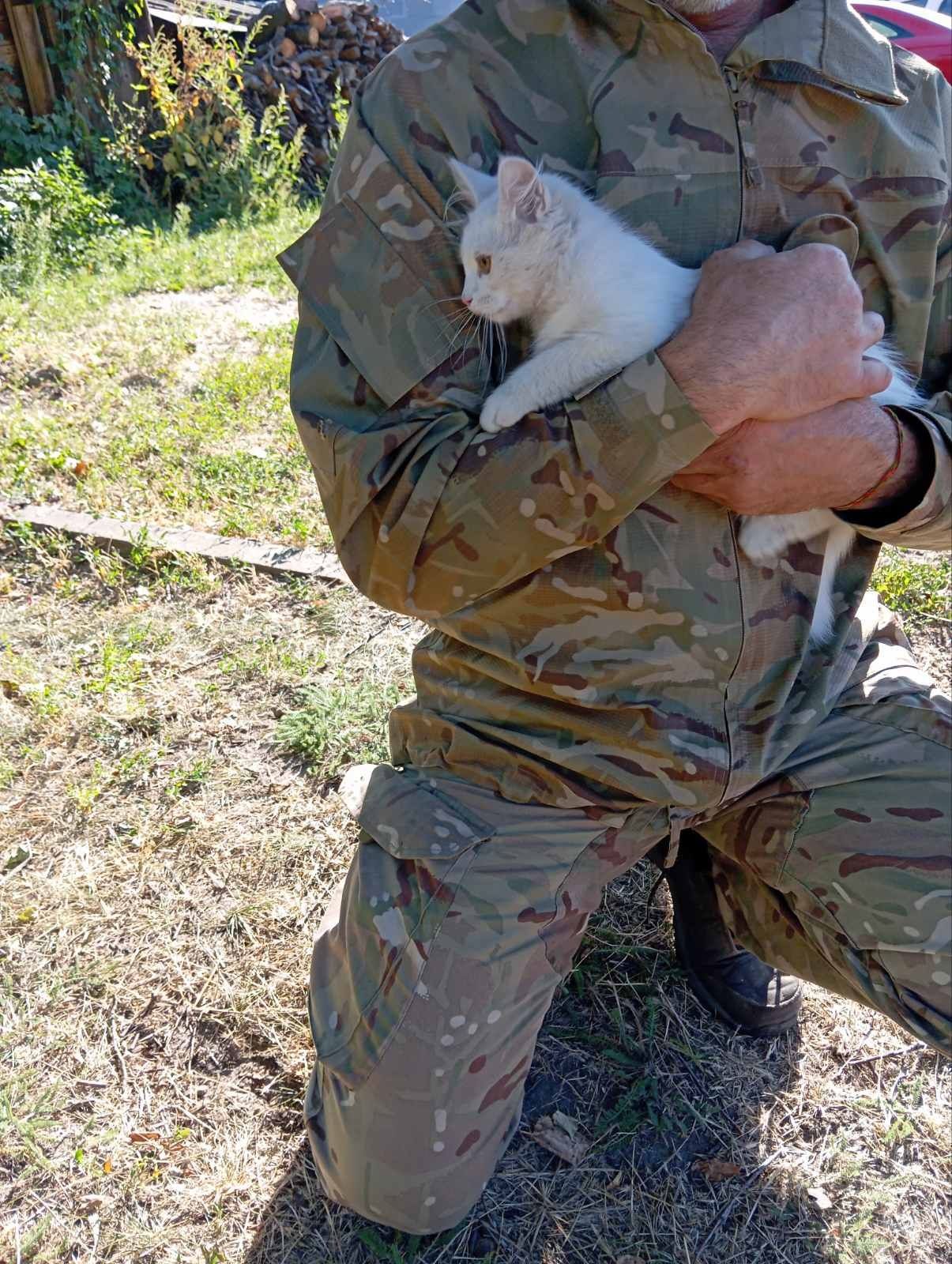 Маленькі герої шукають дім