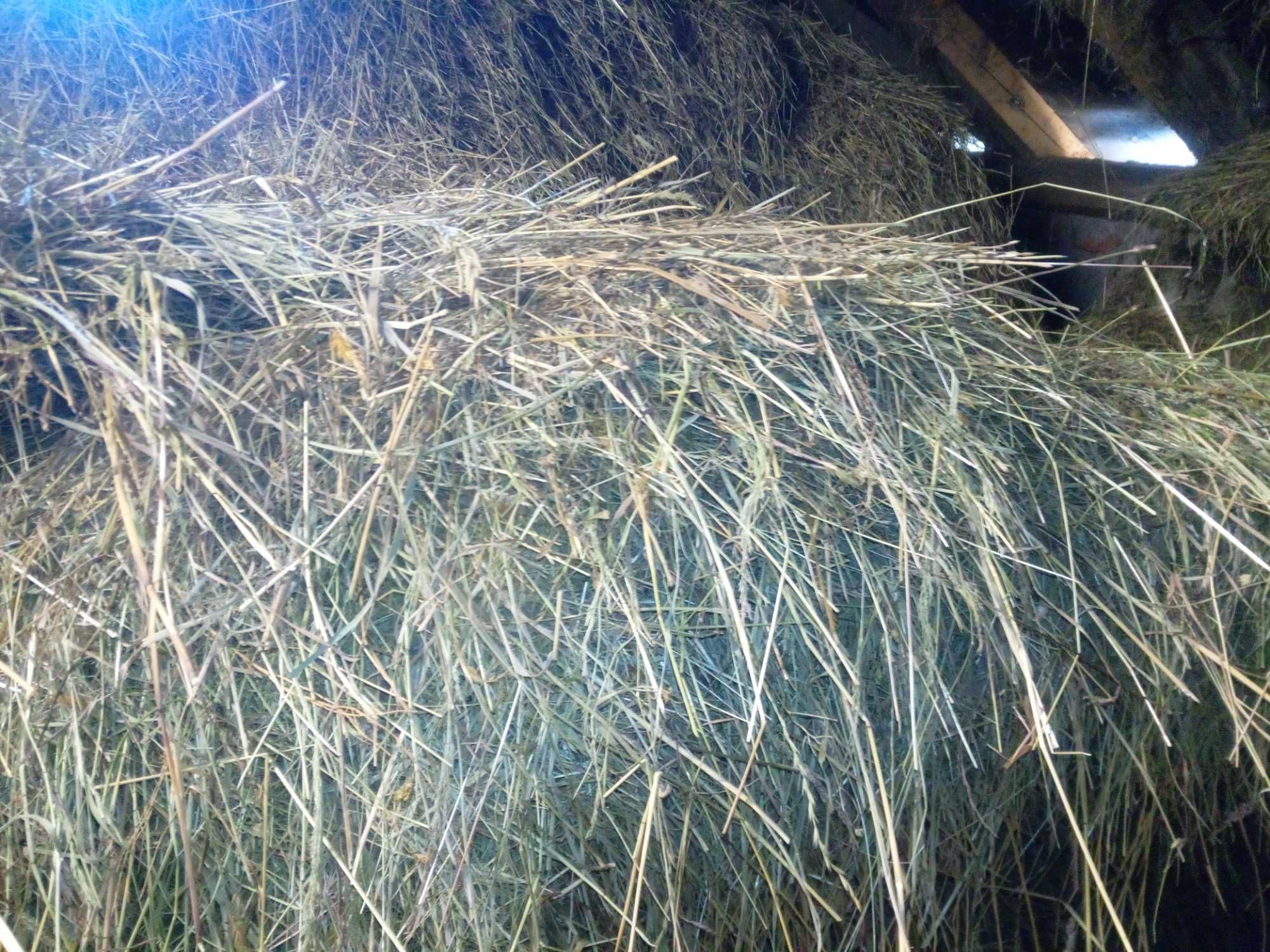 Zboże siano bale
