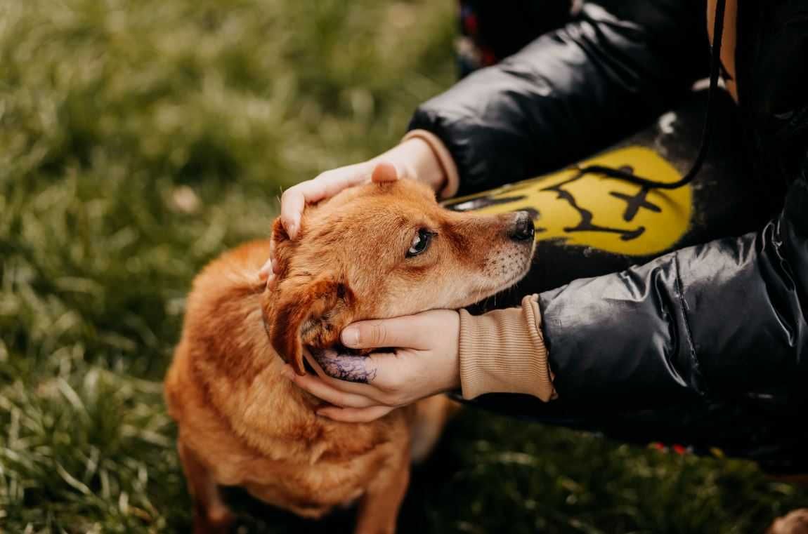 Stracił sens życia i jest coraz smutniejszy. Nie będzie już kochany?