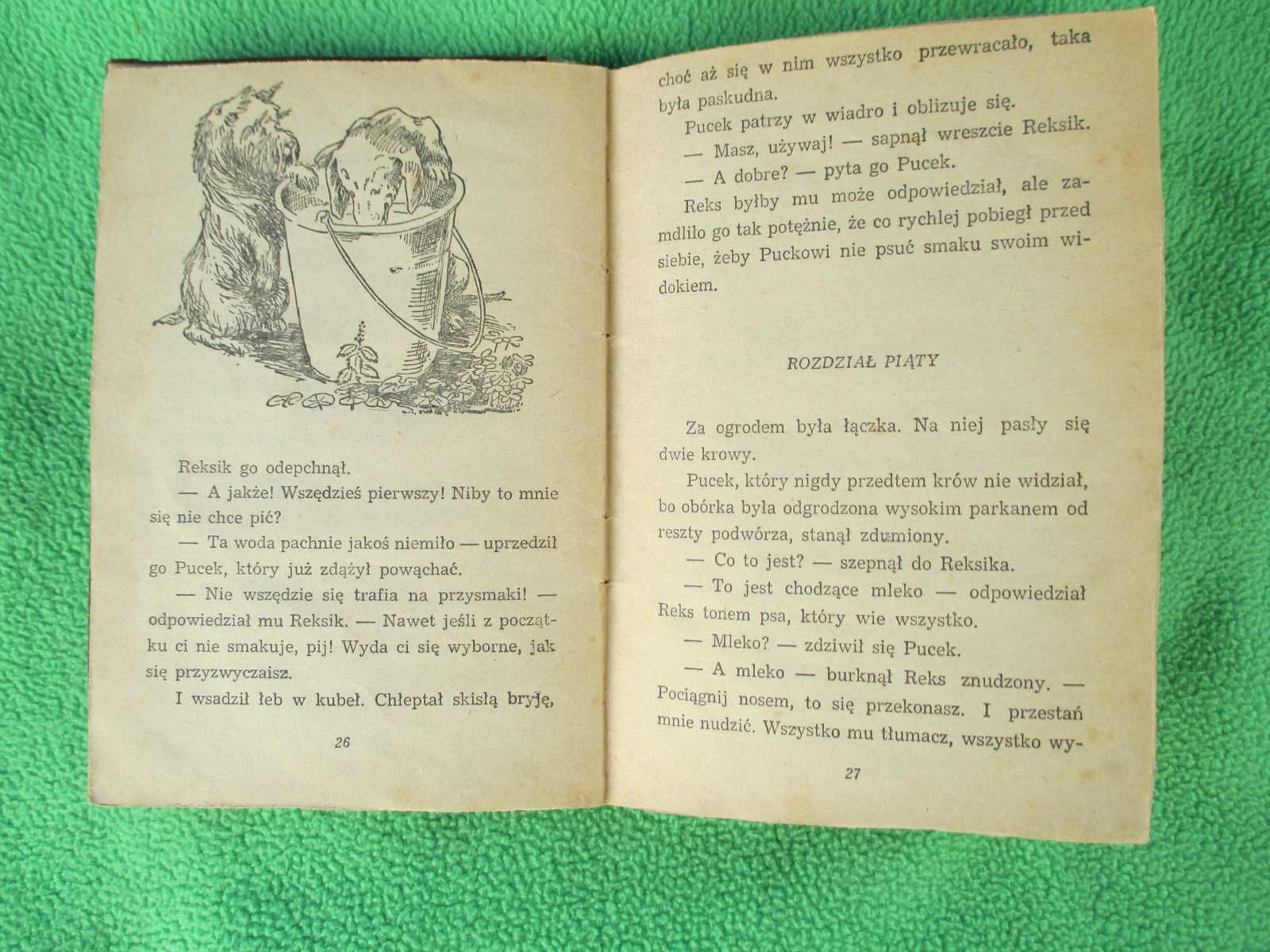 Reksio i Pucek - Jan Grabowski
