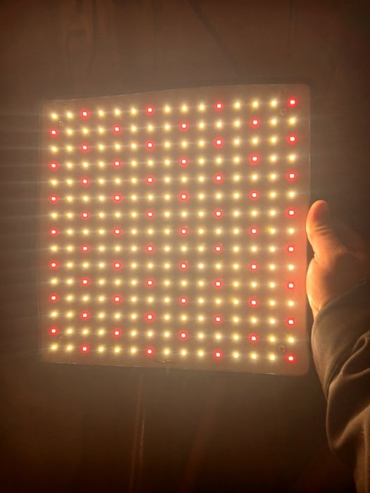 Фітолампи! Все справне'