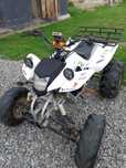 Quad Bashan 250 cm 2008 r zarejstrowany zamiana