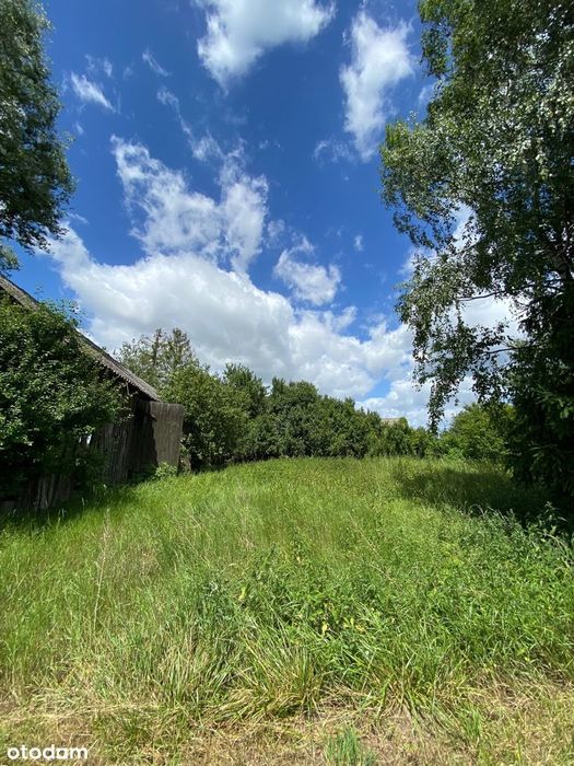 Działka siedliskowa 2300 m2 Stegna gmina Dzierzgowo powiat Mławski