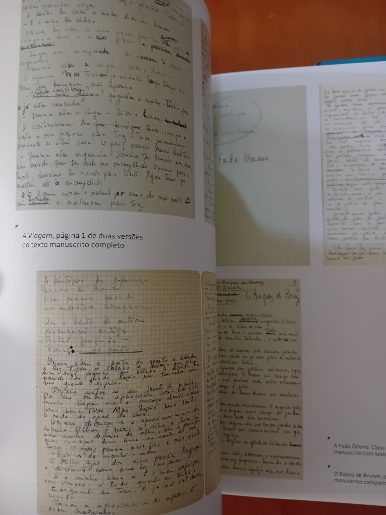 Sophia de mello Bteyner " Uma Vida de Poeta "