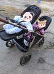 Візок коляска для двійні cybex gazelle 1 люлька + 2 прогулянки
