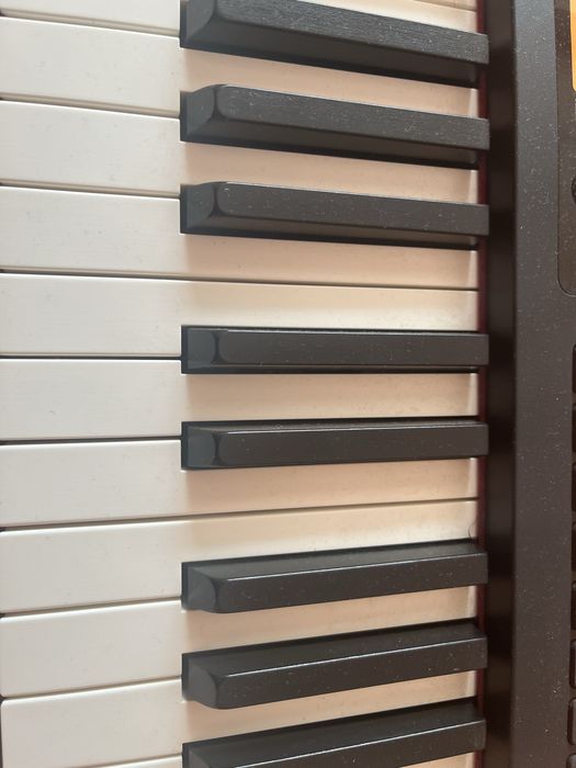 Lekcje pianina/fortepianu