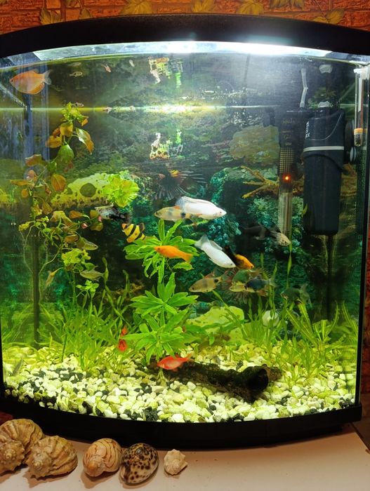 Продам аквариумы.