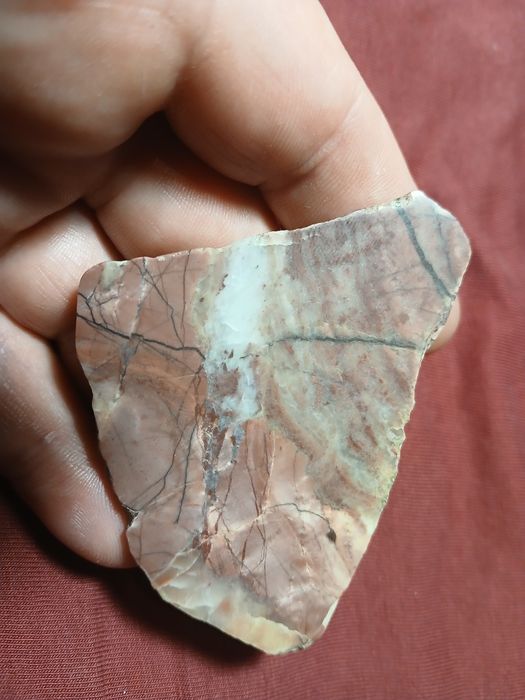 Dolomit Kona skamieniały (skamielina) stromatolit , 2,5 miliarda lat.