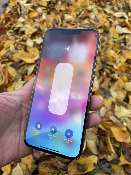 iPhone 13 PRO MAX / 256 Gb / Graphite