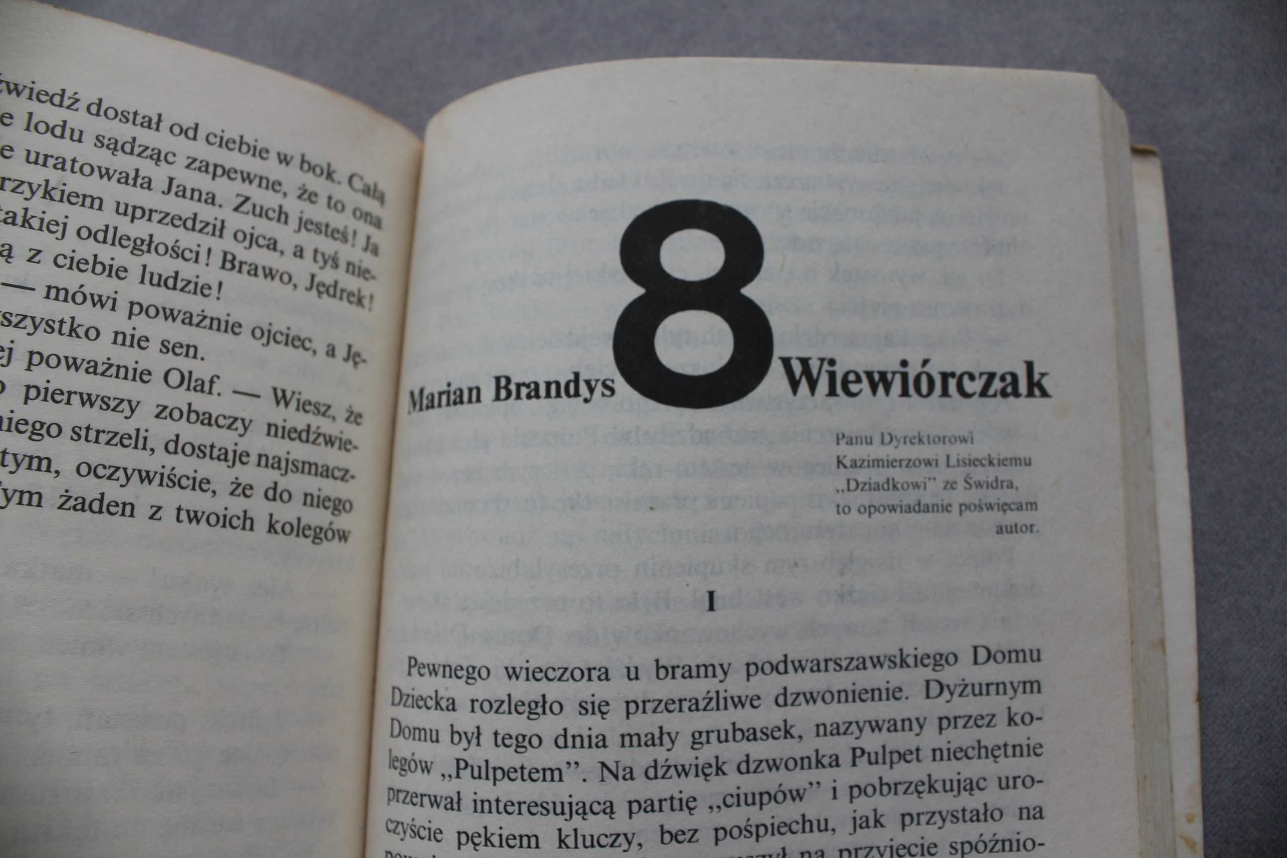 Strzał w dziesiątkę Wybór opowiadań Dobrowolska Nasza Księgarnia 1987