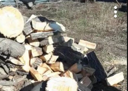 Продам дрова, твёрдых пород