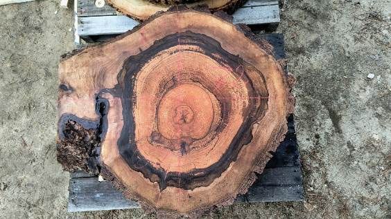 Okazja !!! Sprzedam plastry dębu i orzecha po planowaniu i suszarni