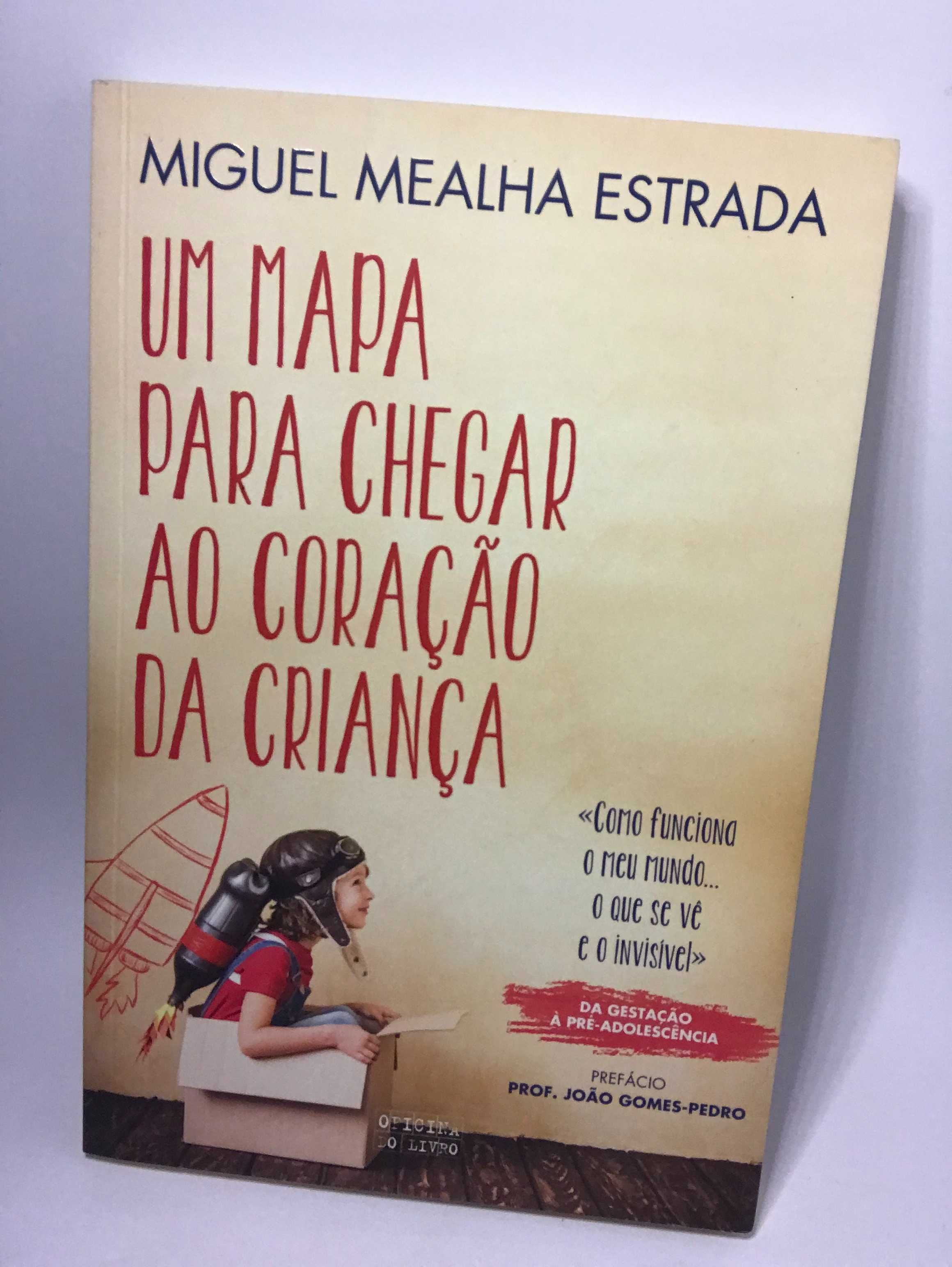 Um Mapa Para Chegar ao Coração da Criança - Miguel Estrada