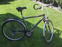 Rower męski Giant Custom