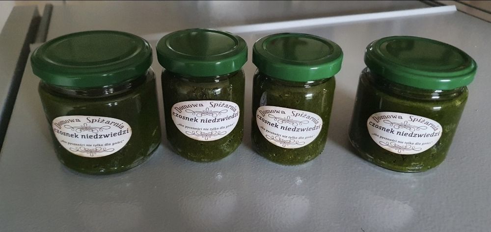 Czosnek niedźwiedzi, Pesto z czosnku niedźwiedziego