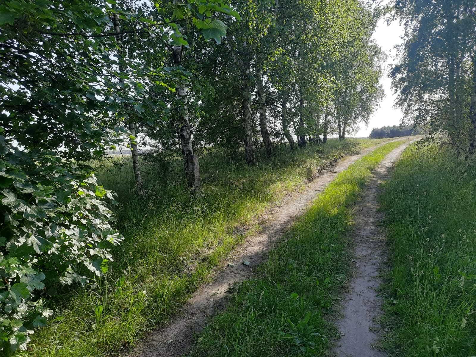 Działka budowlana 1008 m2, warunki zabudowy, Chwarzno