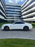 Ford Mustang Ford Mustang GT 5.0 V8 • 2020 • Edycja 55-lecia • Idealny • Warszawa