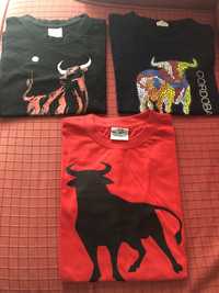 Lote t-shirts Touros