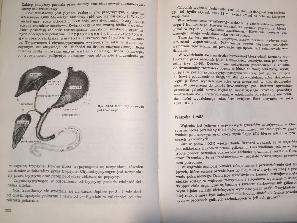 Zarys fizjologii zwierząt- Zygmunt Ewy, PWN 1977