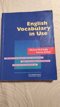 English vocabulary in use upper-intermediate and advanced