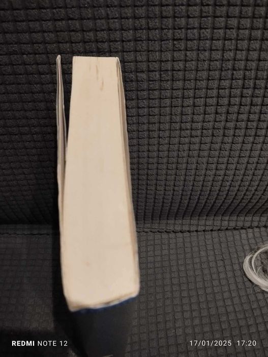 Uma Chuva de Diamantes - Steva Casati Modignani