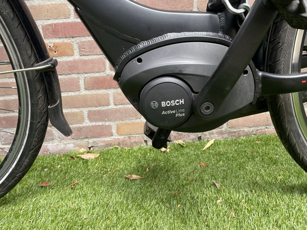 Gazelle Paris c7+