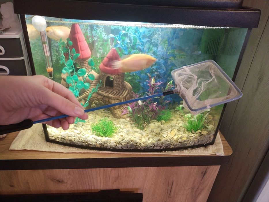 Продам акваріум зі всіма приналежностями