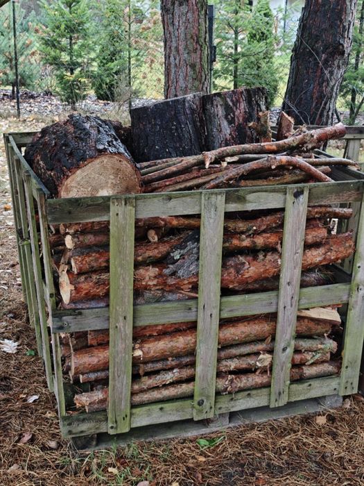 Drewno opałowe sosnowe