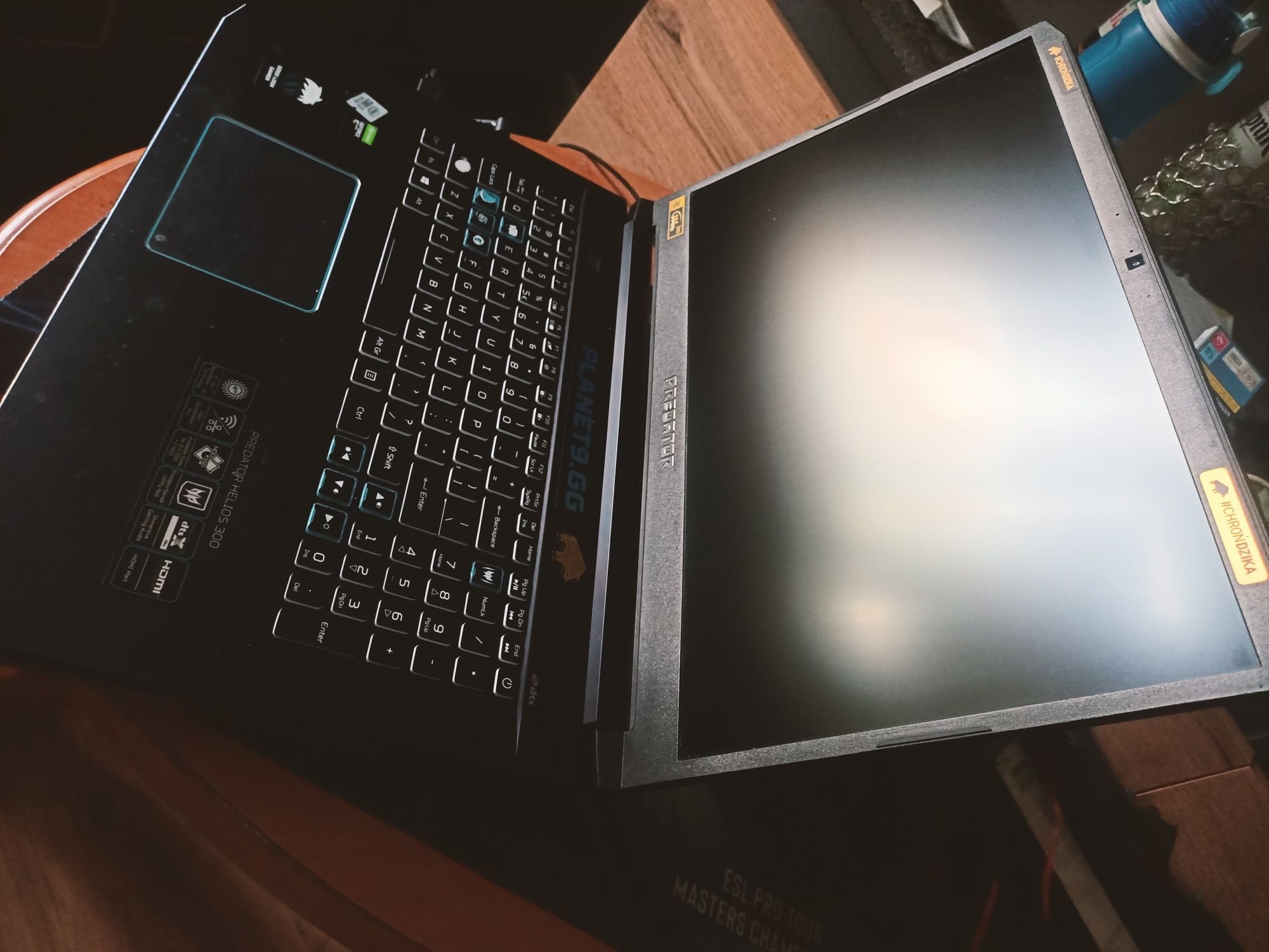 Acer Predator Helios 300