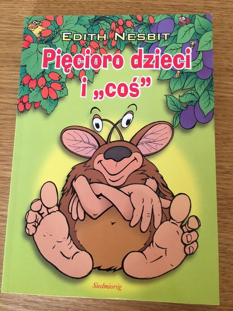 Książka ,,Pięcioro dzieci i „coś””