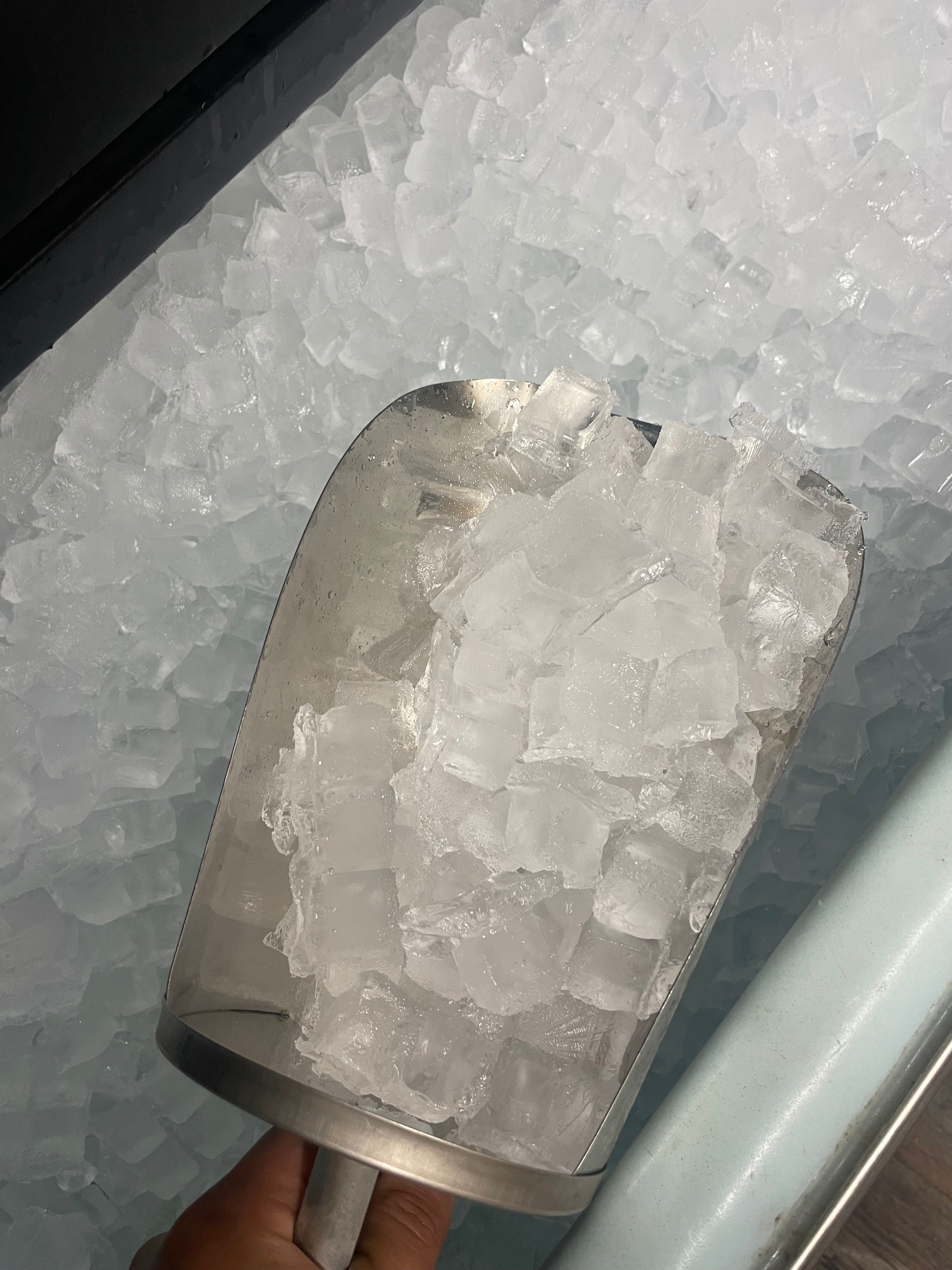 Kostkarka 600 kg na dobę + Pojemnik na lód-ICE O MATIC, nie Hoshizaki