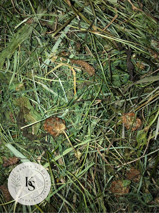 3kg/sianko dla niejadkow, rodzaj 2.-Kraina Siana