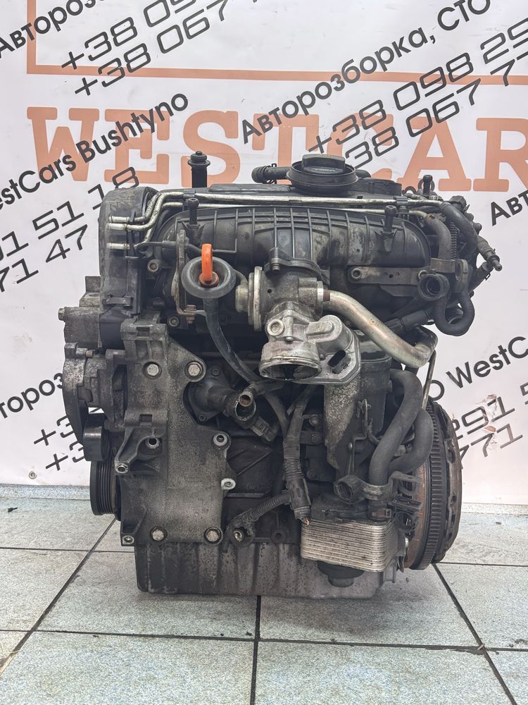 БКД Bkd Двигатель мотор двигун 2.0 TDI 103 кВт 140 л.с vw skoda audit