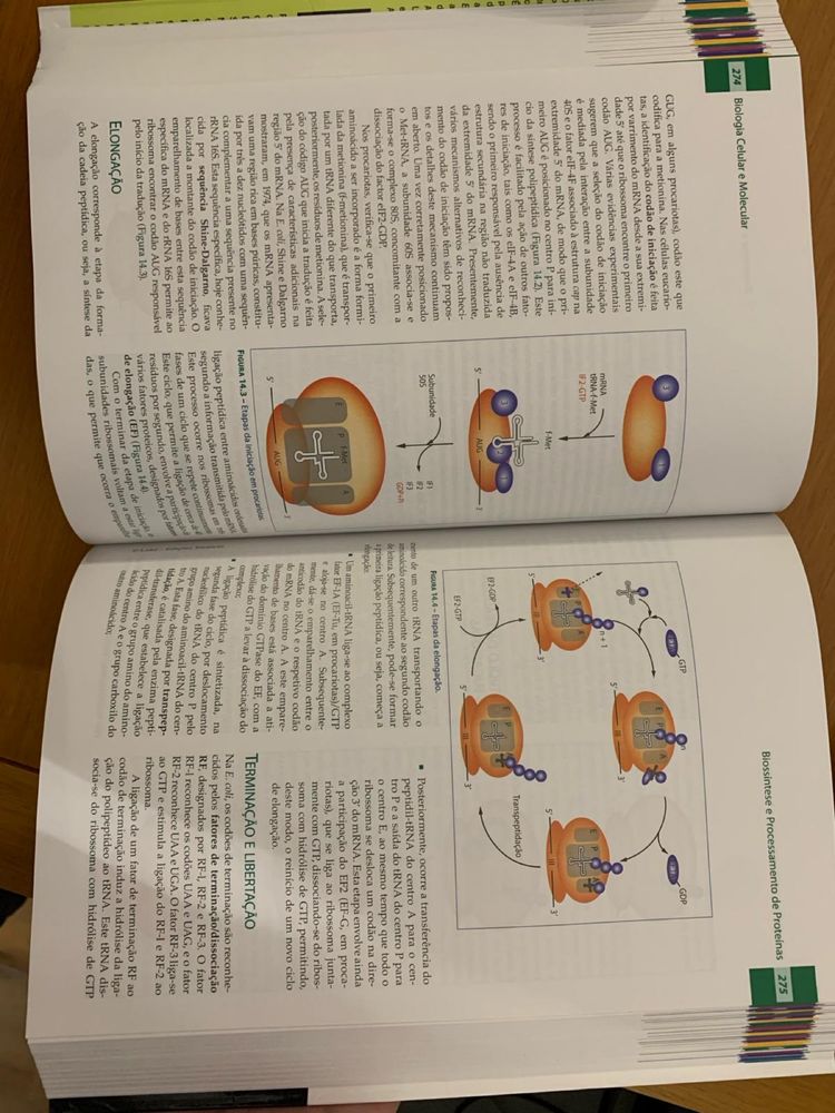 Livro biologia celular molecular