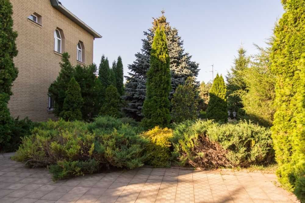 Продам частный дом 300 кВ.м,Новые дома, возле Меркурий(код 4656)