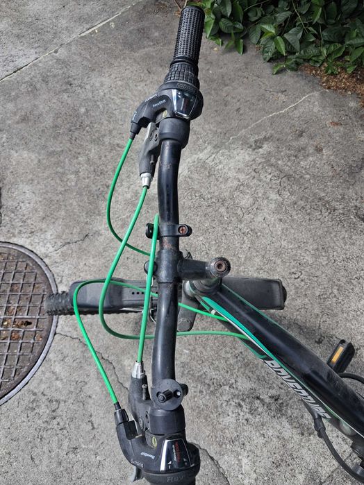 Rower Rayon Adventure.