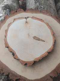 Plastry drewna brzoza 25-28 cm suche szlif gruba kora