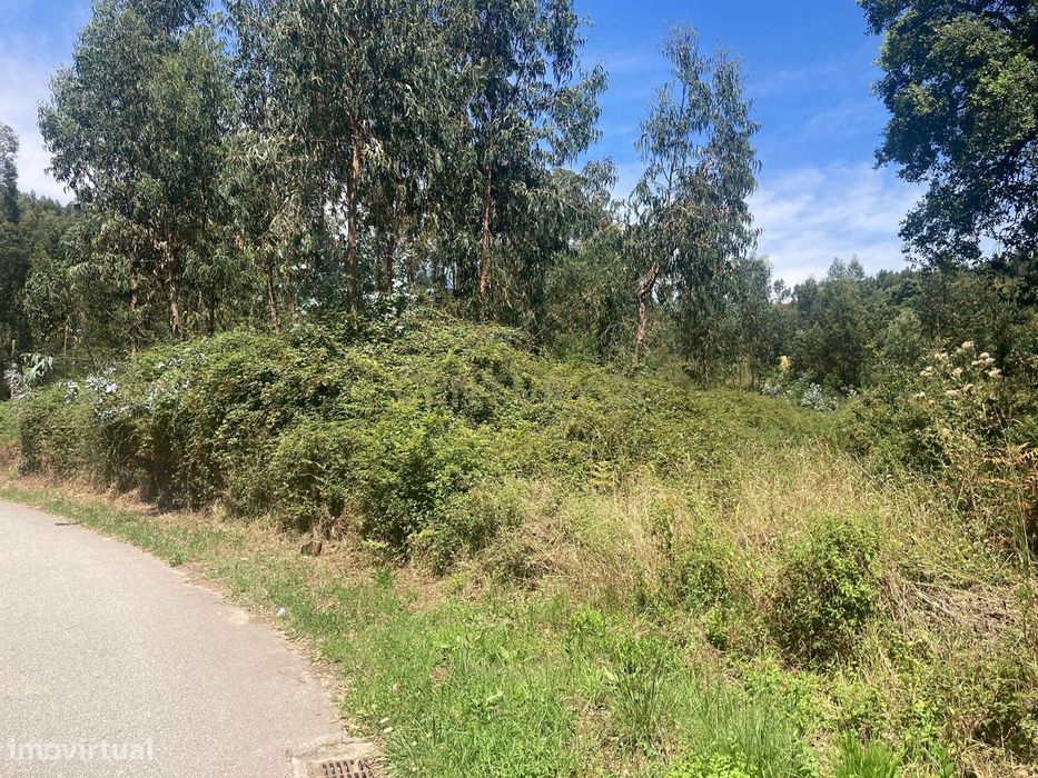 Terreno em Valongo em espaços de actividades económicas