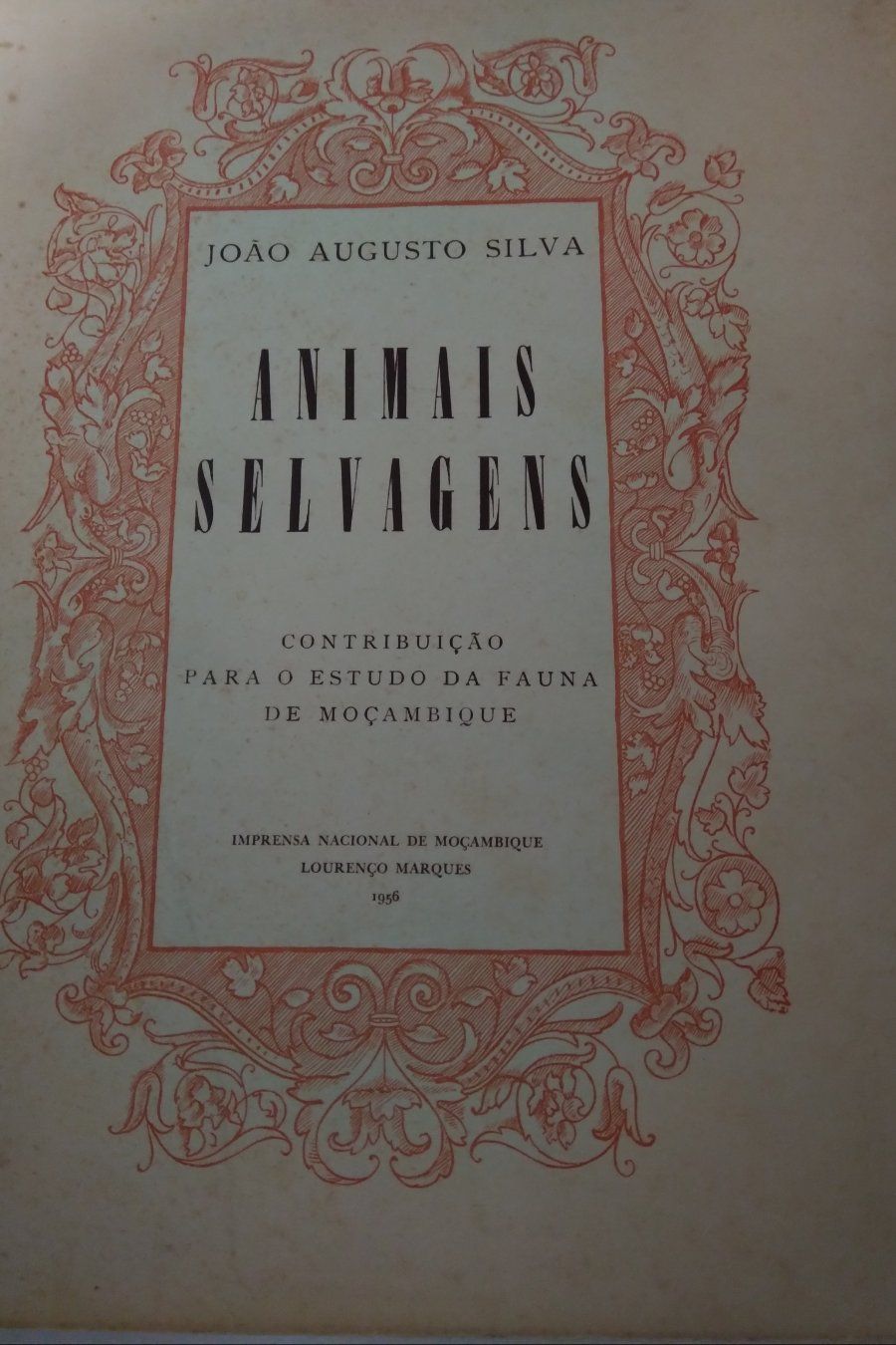Animais Selvagens Fauna de Moçambique
