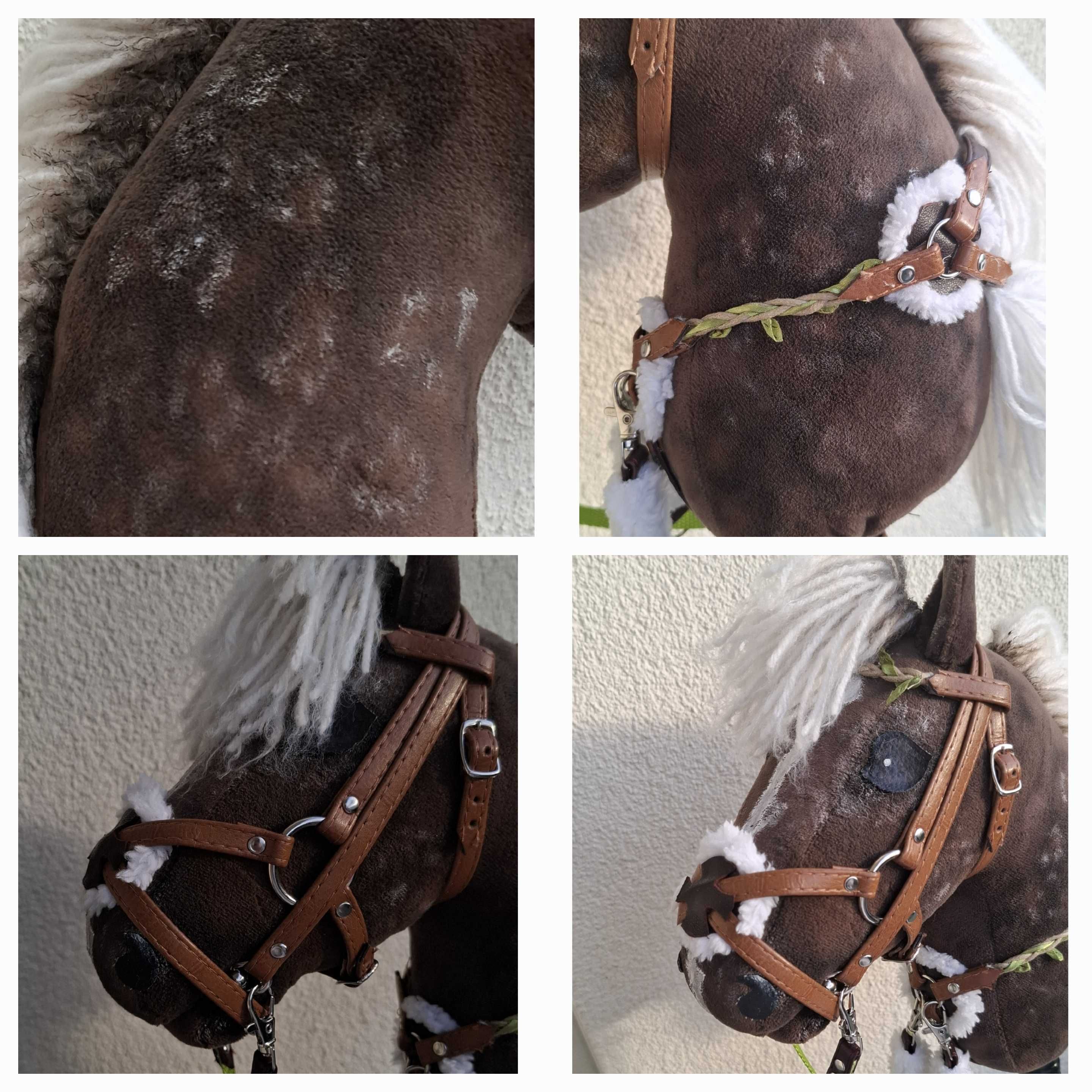 Hobby horse ze sprzętem karo-srebrny kht AHL ~Rival Star~ Orion